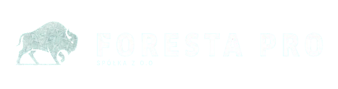Foresta logo no background