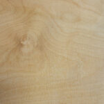 Trudnopalna